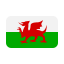 Welsh Flag